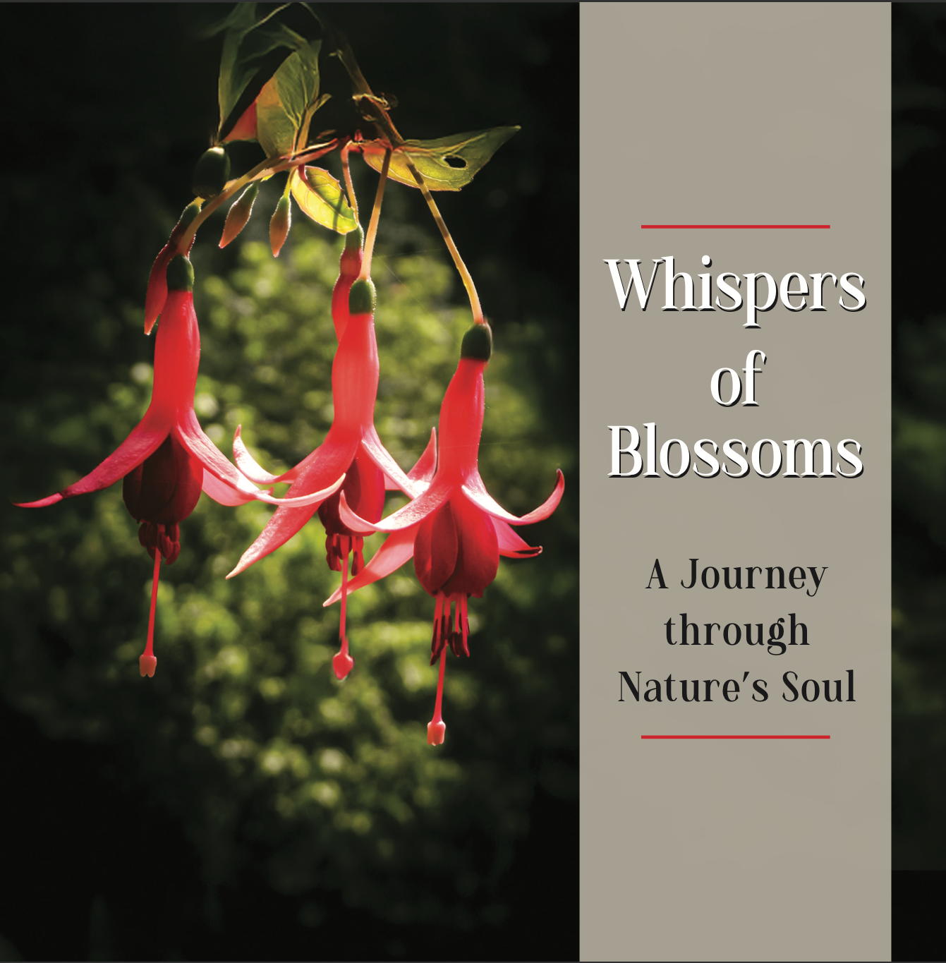 Whispers of Blossoms