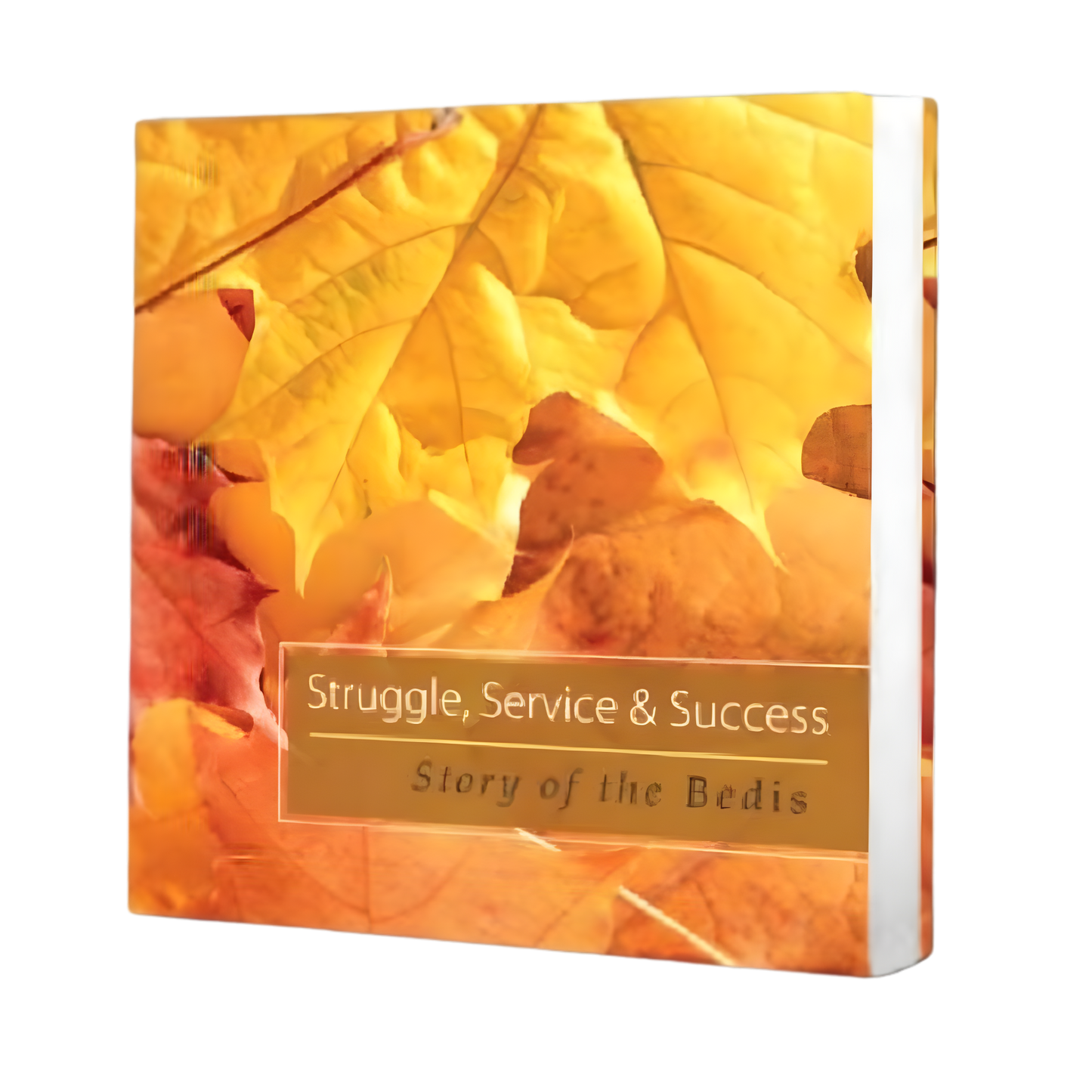 Struggle, Service & Success