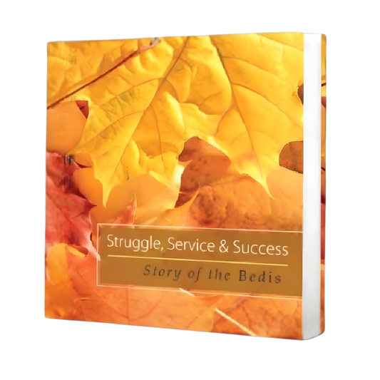 Struggle, Service & Success