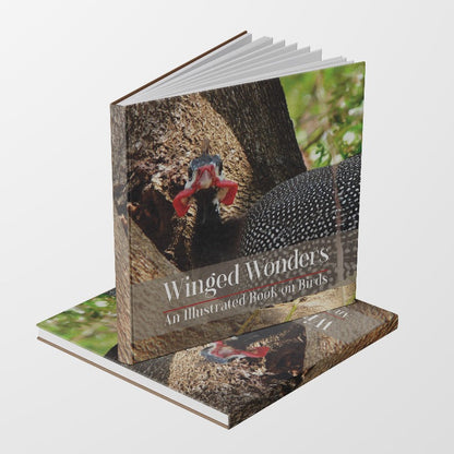 Winged Wonders